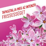 Ajax Floral Fiesta Orgona virág Lilac Breeze általános háztartási tisztítószer 1 L