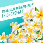 Ajax Floral Fiesta Lagoon Flowers általános háztartási tisztítószer 1 L