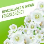Ajax Floral Fiesta Tavaszi virágok Spring Flowers általános háztartási tisztítószer 1 L