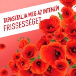 Ajax Floral Fiesta Pipacs Red Flowers általános háztartási tisztítószer 1 L