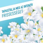 Ajax Floral Fiesta Jázmin általános háztartási tisztítószer 1 L