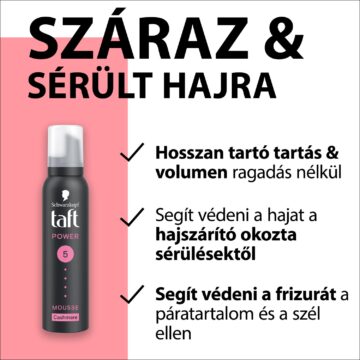 Taft Power 5 Kasmír hajhab száraz és sérült hajra 200 ml
