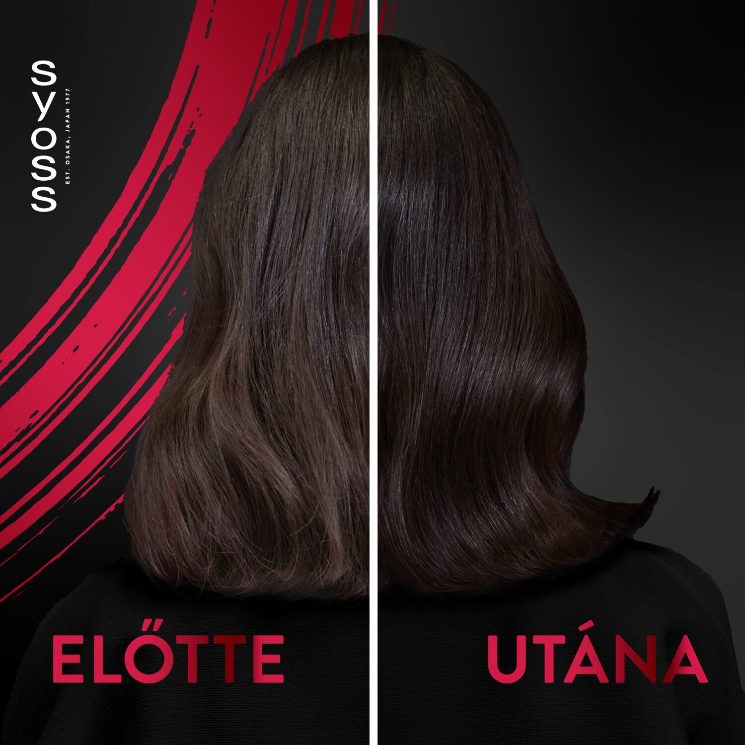 Syoss Colorist balzsam festett hajra 440 ml