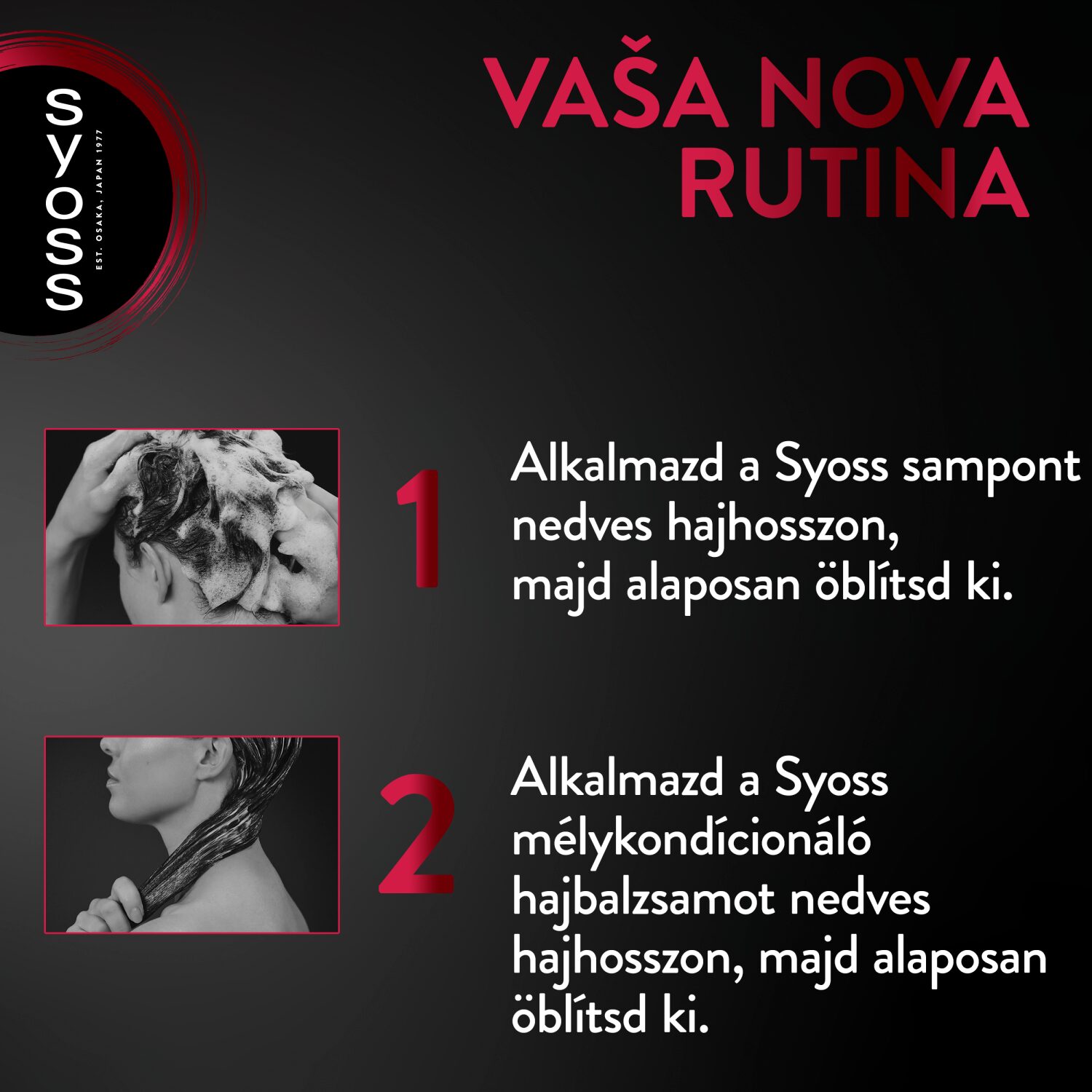 Syoss Colorist balzsam festett hajra 440 ml