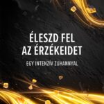 Palmolive Men Intense Spice Up 5in1 férfi tusfürdő 500ml