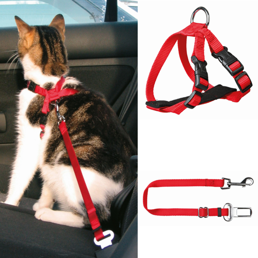 BIZTONSÁGI ÖV CICÁKNAK 20-50CM/15MM