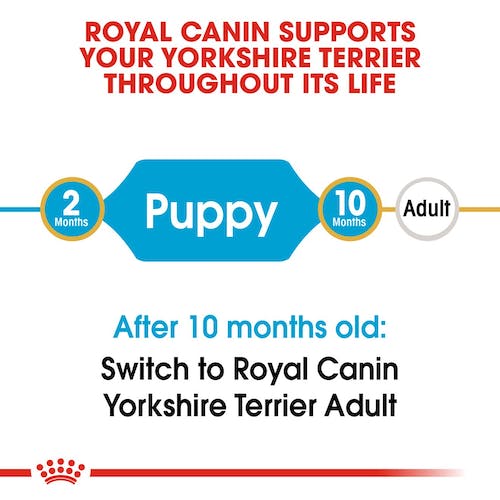 ROYAL CANIN YORKSHIRE JUNIOR/PUPPY 500G - Image 4