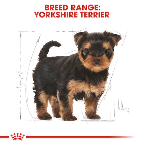 ROYAL CANIN YORKSHIRE JUNIOR/PUPPY 500G - Image 3