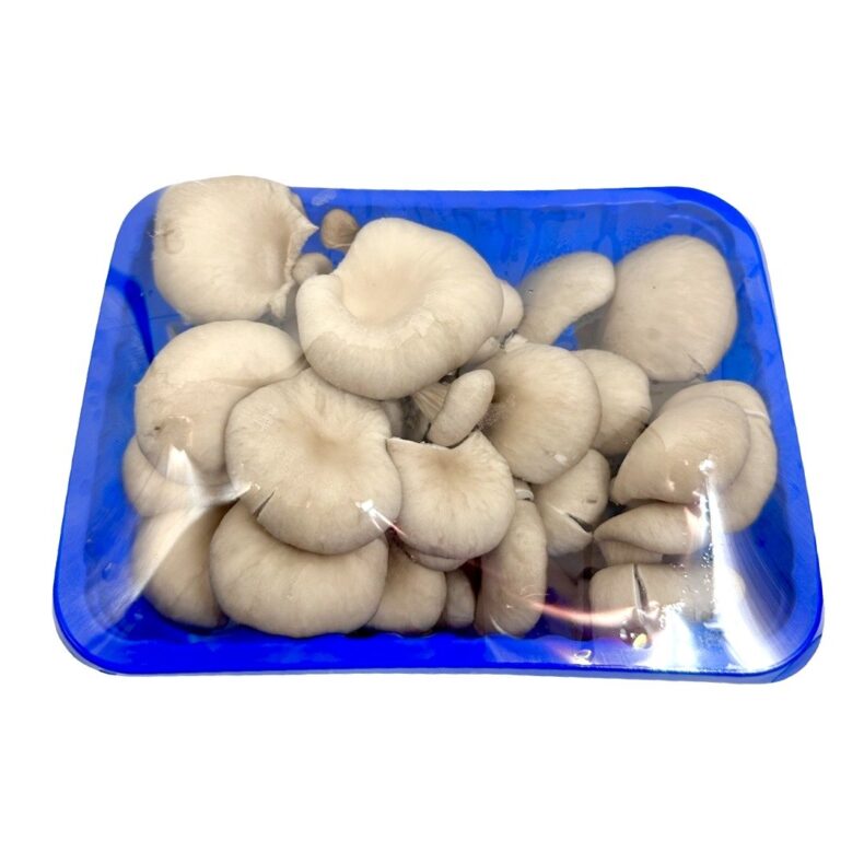 Laskagomba csomagolt 300gr