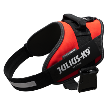 JULIUS-K9 IDCPowerhám felirattal, méret 1 piros