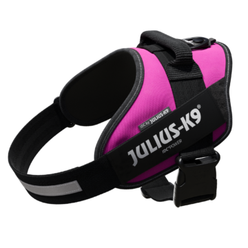 JULIUS-K9 IDCPowerhám felirattal, méret 1 sötét pink