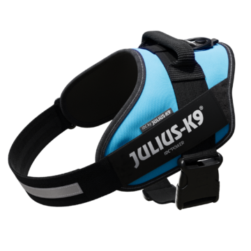 JULIUS-K9 IDCPowerhám felirattal méret 1 Aquamarine