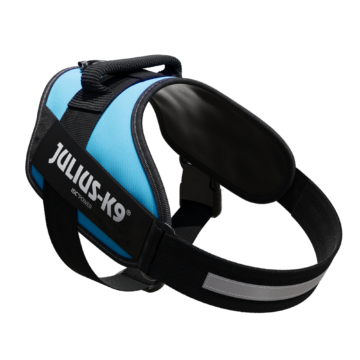 Alternative view of JULIUS-K9 IDCPowerhám felirattal méret 1 Aquamarine