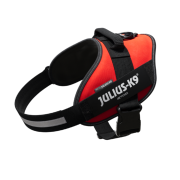 JULIUS-K9 IDCPowerhám felirattal, méret 2 piros