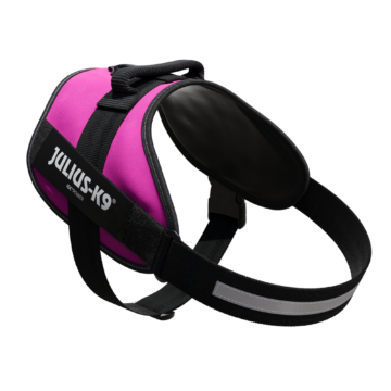 Alternative view of JULIUS-K9 IDCPowerhám felirattal, méret 3 sötét pink