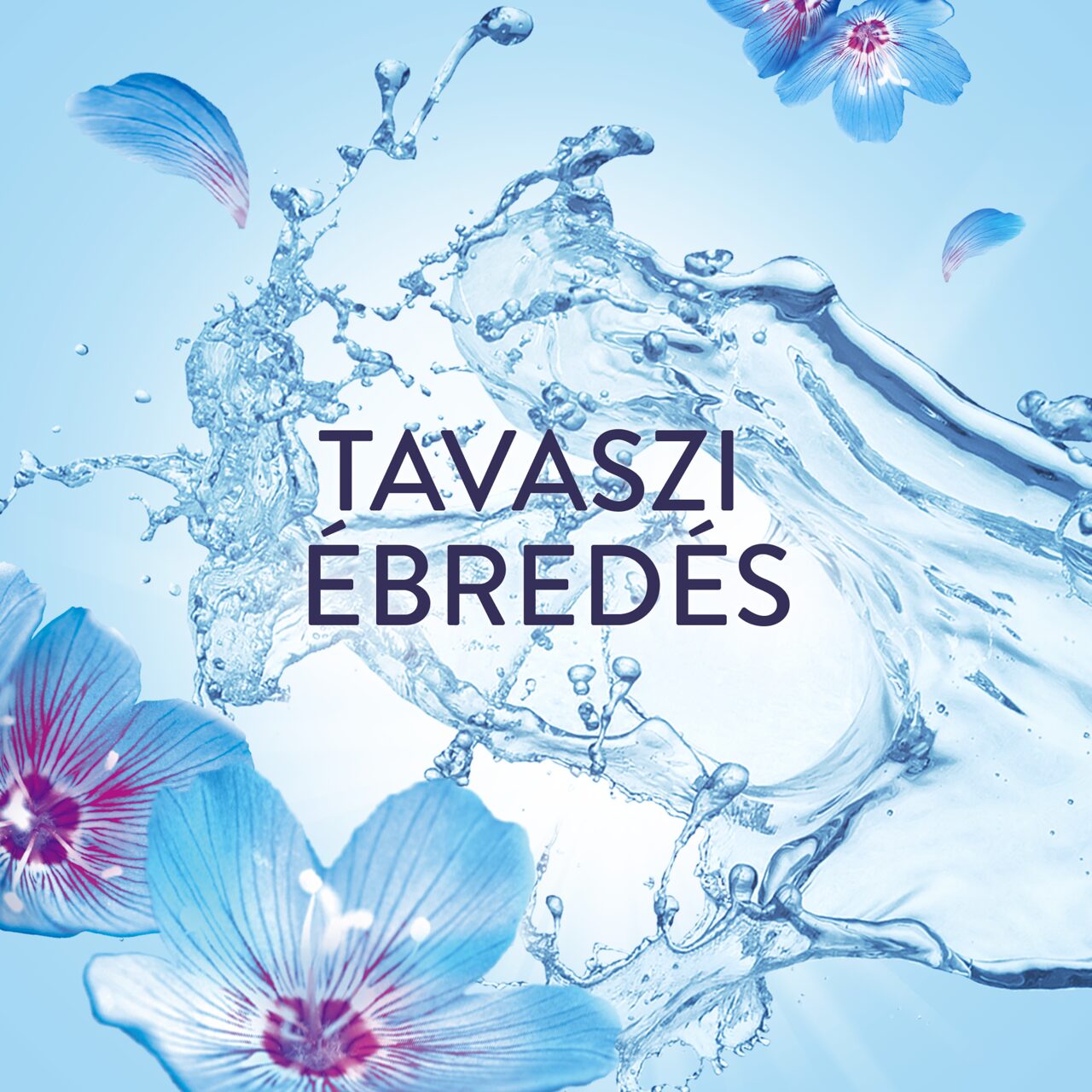 Lenor Spring Awakening textilöblítő DUO 2x1491 ml 142 mosás - Image 2