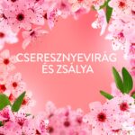 Lenor Perfume Therapy Cherry Blossom & Sage textilöblítő 1239 ml